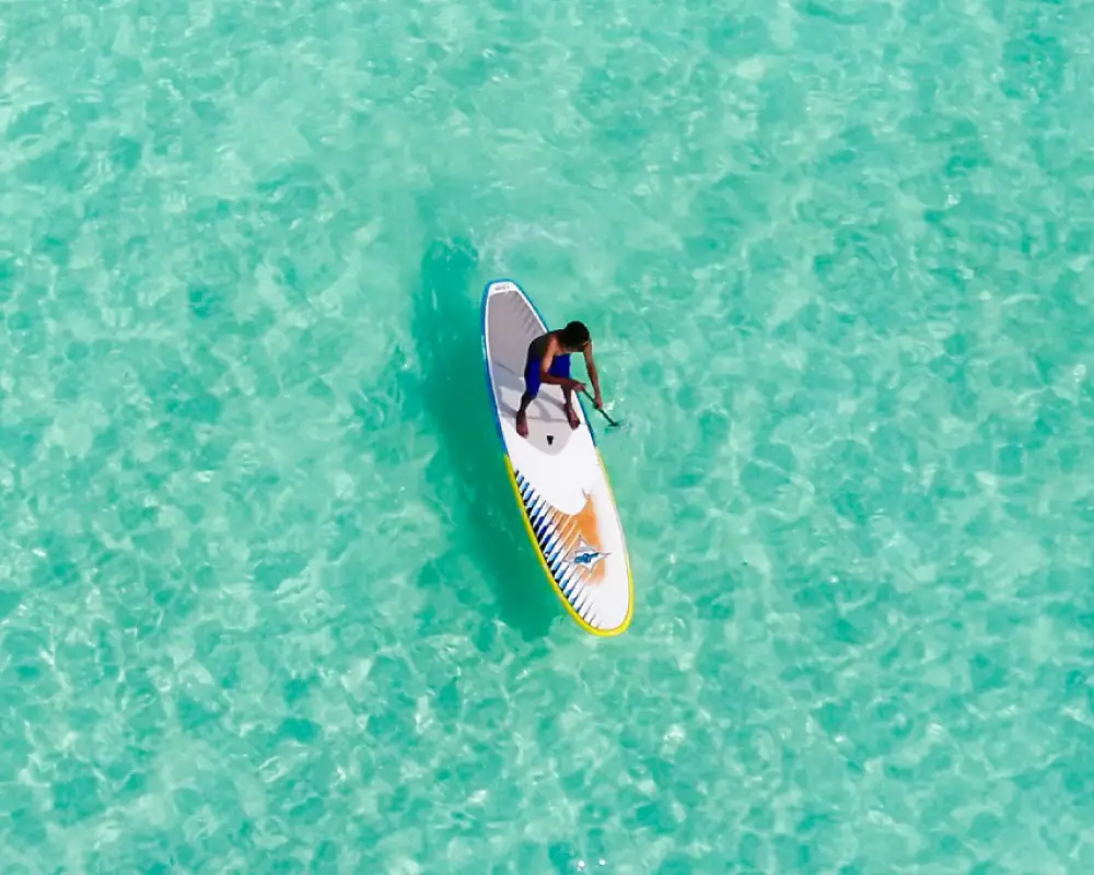 Paddle Board