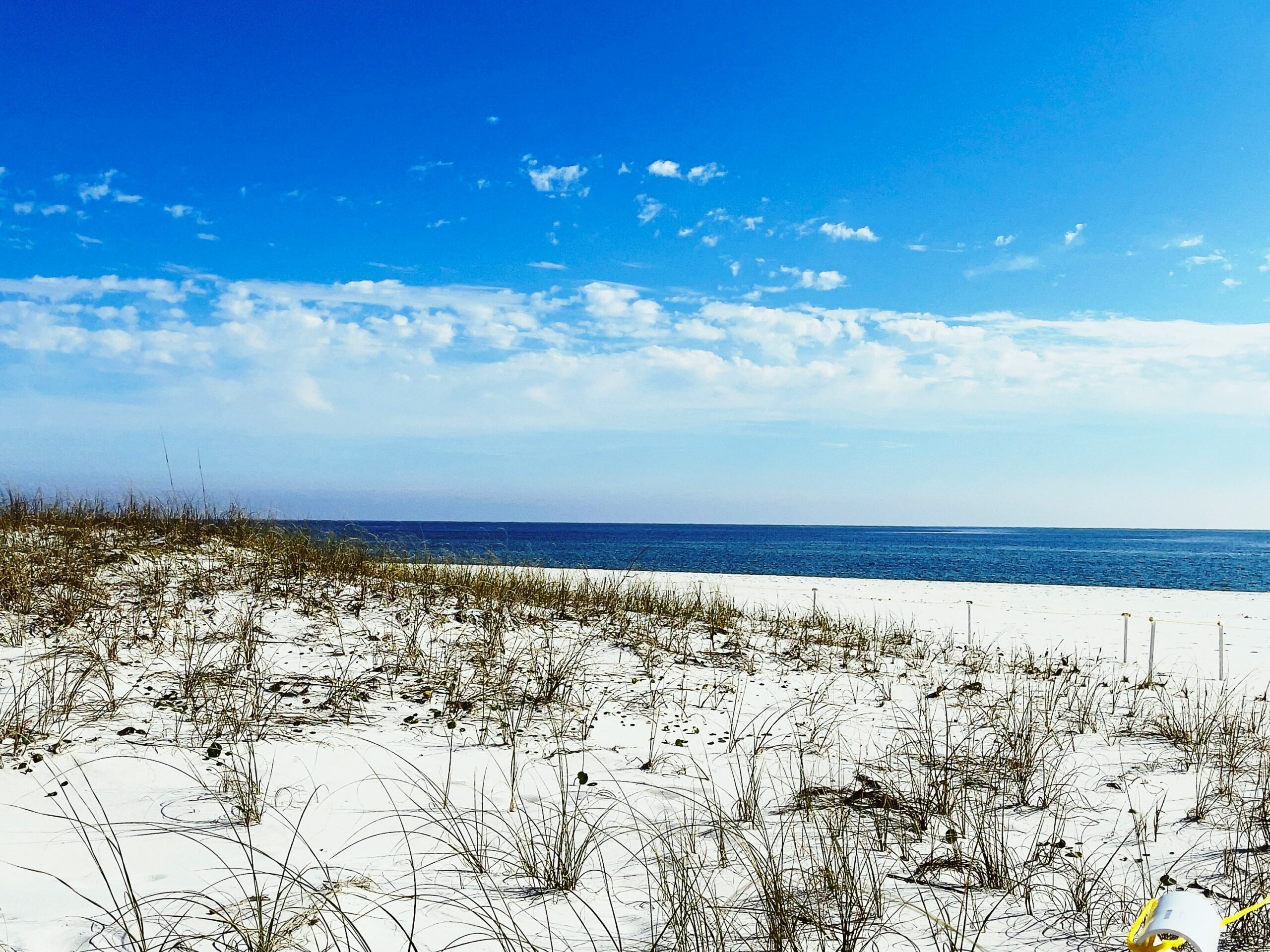 Pensacola Beach White Sand